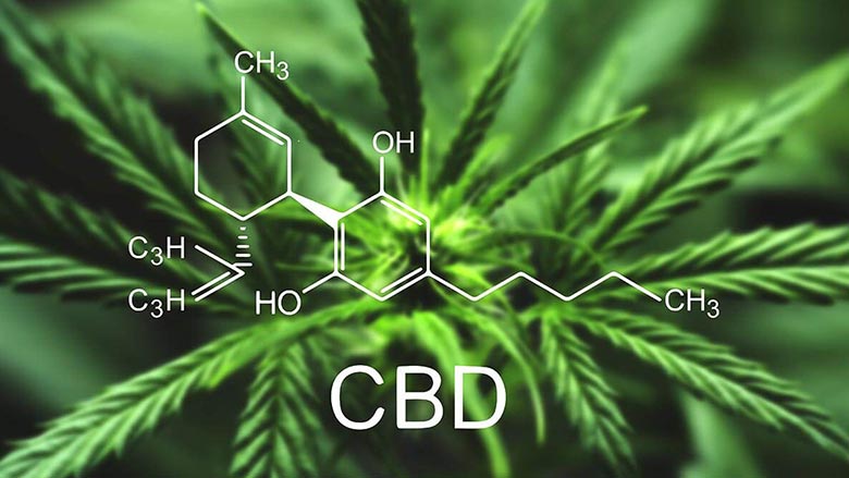 راهنمای تخصصی کانابیدیول CBD