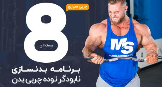 برنامه بدنسازی نابودگر توده چربی بدن