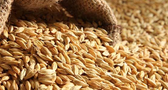 خواص جو برای سلامتی