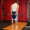 standing-palms-up-barbell-behind-the-back-wrist-curl
