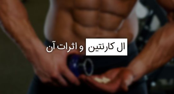 با ال کارنیتین و اثرات آن آشنا شوید